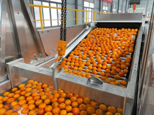 全功能柑橘加工生产线长什么样？去百安港感受一站式的“购物体验”，棒呆了！