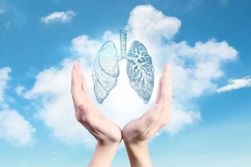世界呼吸日，康居人品质护WE来 ——康居人依托科技创新，助力全民高质量呼吸
