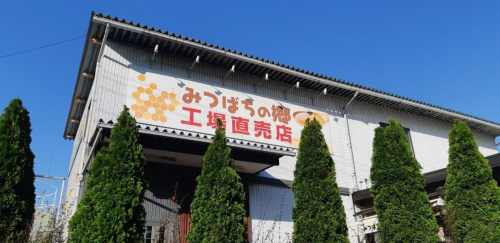 在岐阜县关原町，以神仙视角一览“决定天下的战争”！还有很多当地美味哦！