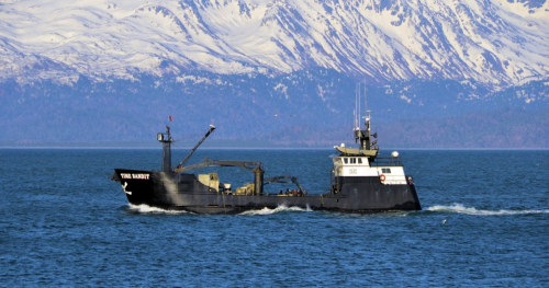 美国阿拉斯加海产携手嘉荣超市,献映大湾区_快讯_第2张_纵横网 美国阿拉斯加海产携手嘉荣超市,献映大湾区_https://www.izongheng.net_快讯_第2张