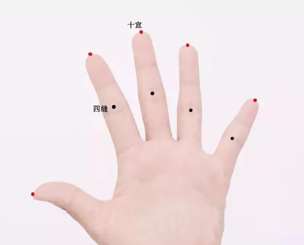 1556262288652798.png 4.png