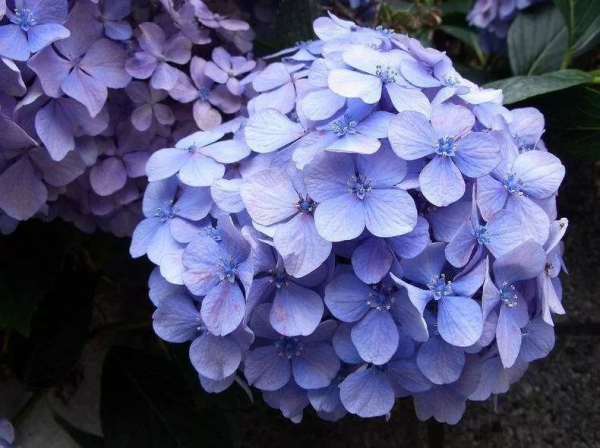 1567063718747785.png 图片2.png