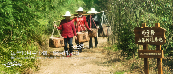 西子椿山茶油，多一份品质，多一份放心