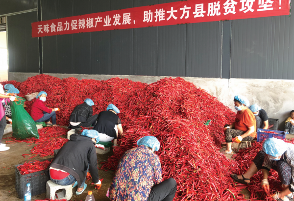 微信图片_20190924093146.png