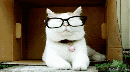 a45241176ef95485e0b9749e10052ec0_fb98-fyrkuxs8787206.gif