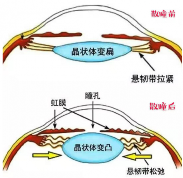 1579487329727813.png 微信截图_20200120100639.png