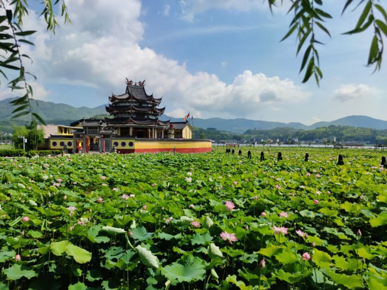 鲤鱼溪荷塘.jpg