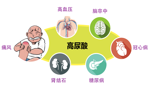 高尿酸与糖尿病的密切关系