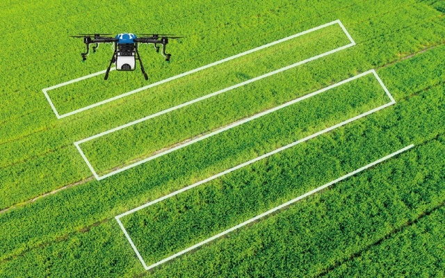 从探路先锋到肩负使命：远牧控股以先进无人机科技改变农业未来