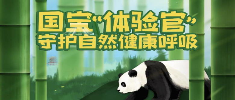 长虹熊猫懒Ⅱ代焕新上市，让舒适生活再懒一点