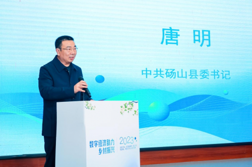 第二届中国·砀山电商发展论坛成功举办图3