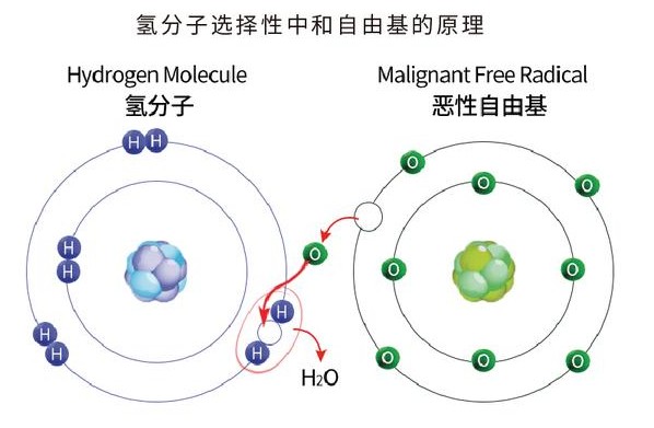 图片 2.jpg