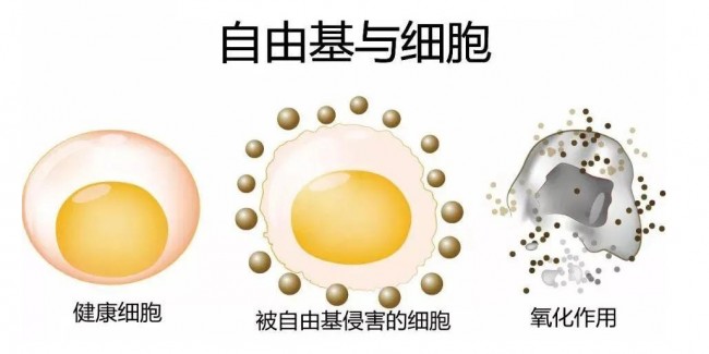 图片 1.jpg