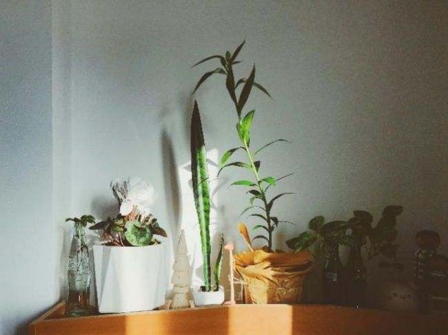 食品行业节能降耗新选择：瑞典森尔Senseair高精度NDIR二氧化碳传感器，破解生鲜供应链保鲜难题