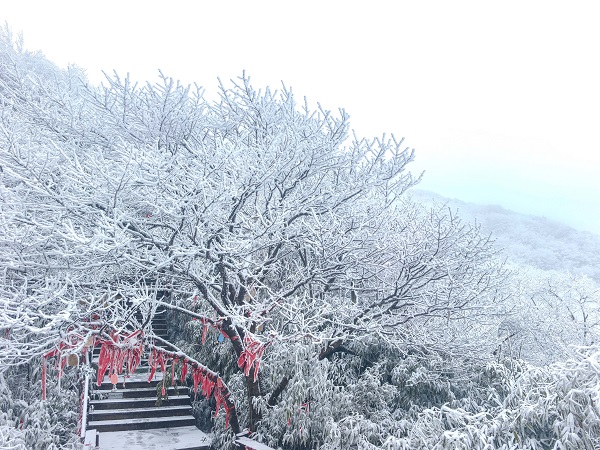 1768983418420258.jpg 2-微信图片_20260121152429_875_80-胡波 14.jpg