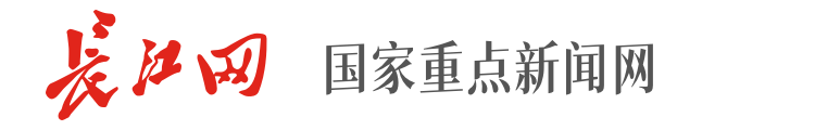 长江日报《长江网》（带视频）
