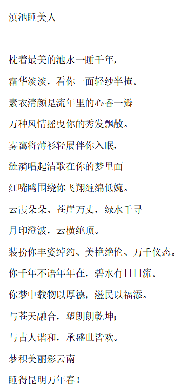 宋丽曲谱_宋丽写真集(4)