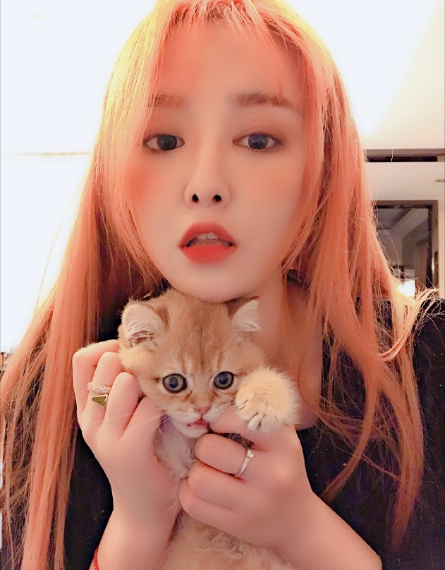 "葵儿"是吴召国所说的快手一姐吗?