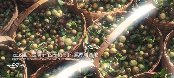 木春生物:西子椿,让肌肤爱上呵护