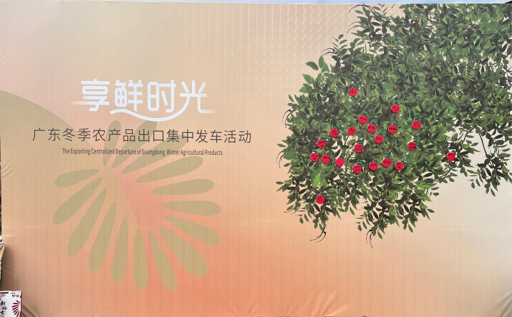 中荔农业集团“广东冬季农产品出口集中发车活动”圆满成功