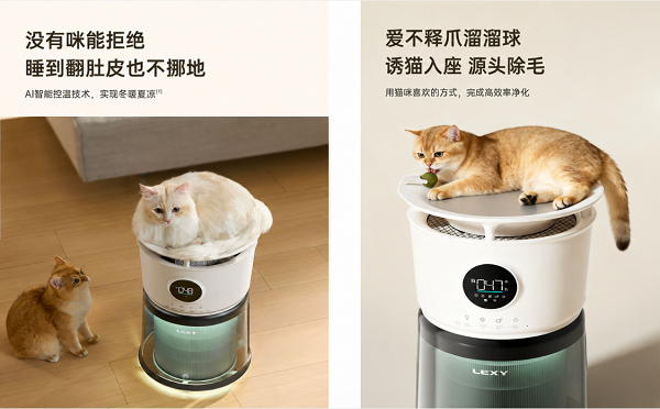 图片 7.png